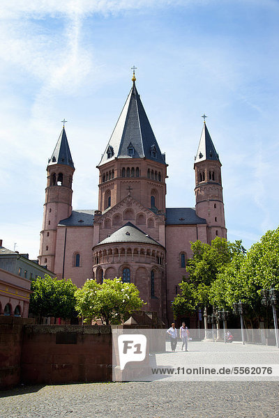 Der Dom zu Mainz  Mainz  Rheinland-Pfalz  Deutschland  Europa