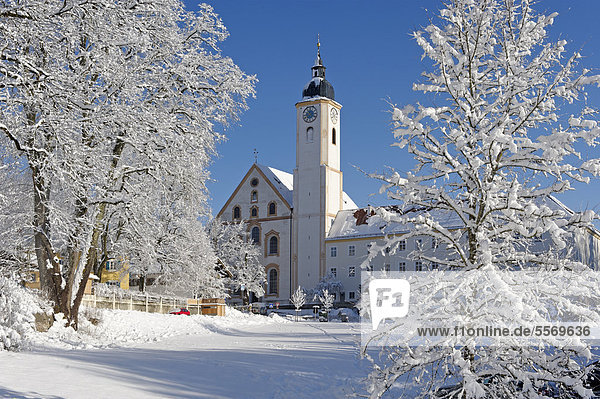 Pfarrkirche Mariä Himmelfahrt im Winter  Dietramszell  Oberbayern  Bayern  Deutschland  Europa