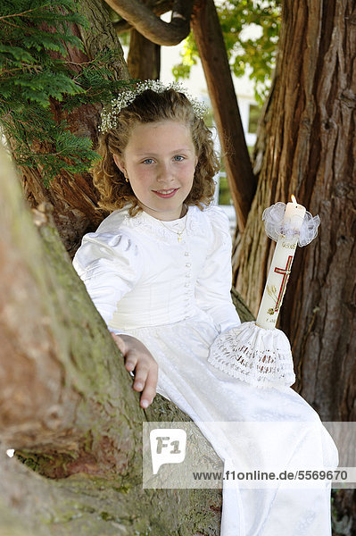 First communion girl with a white dress sitting on a tree