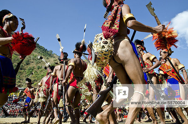 Warriors of the Konyak tribe performing ritual dances at the Hornbill Festival  Kohima  Nagaland  India  Asia