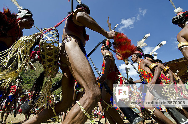 Krieger des Konyak Stammes führen Ritualtänze beim Hornbill Festival auf  Kohima  Nagaland  Indien  Asien