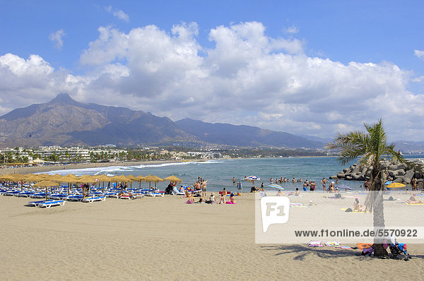 Strand von Puerto Banus  Marbella  Provinz M·laga  Costa del Sol  Andalusien  Spanien  Europa