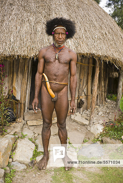 Mann vom Stamm der Dani mit Penisköcher  Baliem-Tal  West Papua  West-Neuguinea  Indonesien  Asien