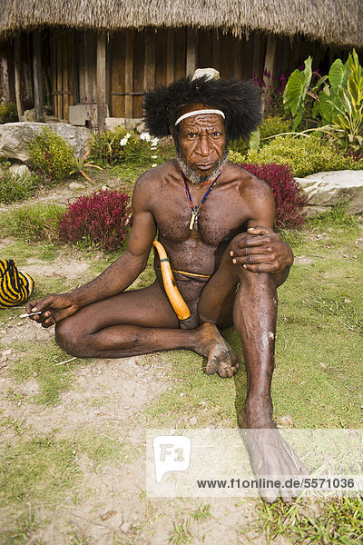 Man from the Dani tribe wearing a penis sheath  Baliem Valley  West Papua  Western New Guinea  Indonesia  Asia