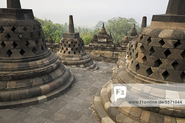 Stupas buddhistische Tempelanlage Borobudur Borobodur Java Indonesien Südostasien