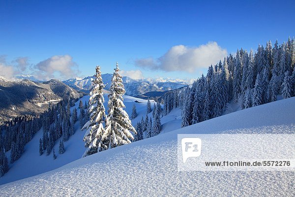 Winterlandschaft im Tegernseer Tal  Bayern  Deutschland