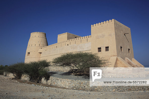 Bukha Fort  Bukha  Bucha  in der omanischen Enklave Musandam  Oman  Arabische Halbinsel  Naher Osten