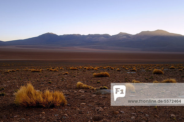 Desert landscape with backlighting  Desierto  Uyuni  Bolivia  South America