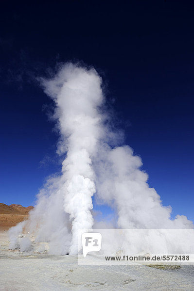 Geysers with water vapour against a deep blue sky  Uyuni  Bolivia  South America