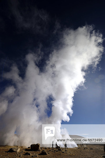 Geysers with water vapour against a deep blue sky  Uyuni  Bolivia  South America
