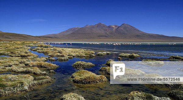 Lagune mit Andenbergen  Uyuni  Bolivien  Südamerika