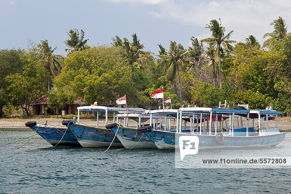 Ausflugsboote im Hafen von Labuhan Lalang  Startpunkt nach Menjangan Island  Westbali  Insel Bali  Indonesien  Südostasien  Asien