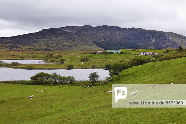 Landschaft bei Fintown  County Donegal  Irland  Europa