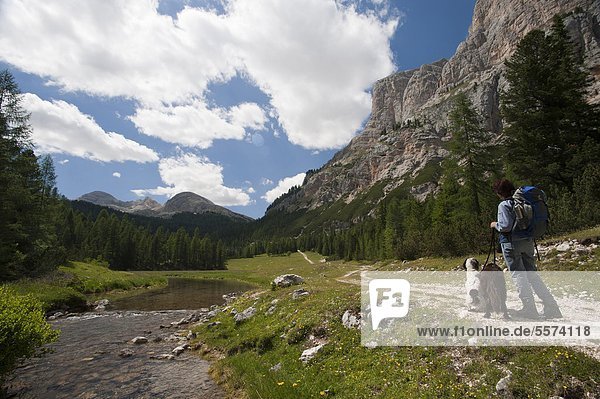 Italy  Veneto  Dolomites Alps  Fanes Valley  Hiker and Dogs                                                                                                                                             