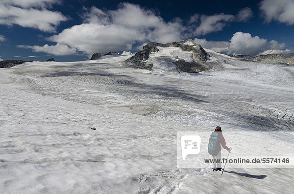Italy  Trentino Alto Adige  Adamello Brenta Natural Park  Cresta Croce Mountain  Mandrone Glacier                                                                                                       