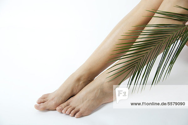 Woman holding palm frond against bare legs  cropped
