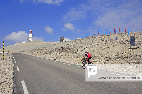 Rennradfahrer auf Straße zum Gipfel des Mont Ventoux  Vaucluse  Provence-Alpes-Cote d'Azur  Südfrankreich  Frankreich  Europa  ÖffentlicherGrund