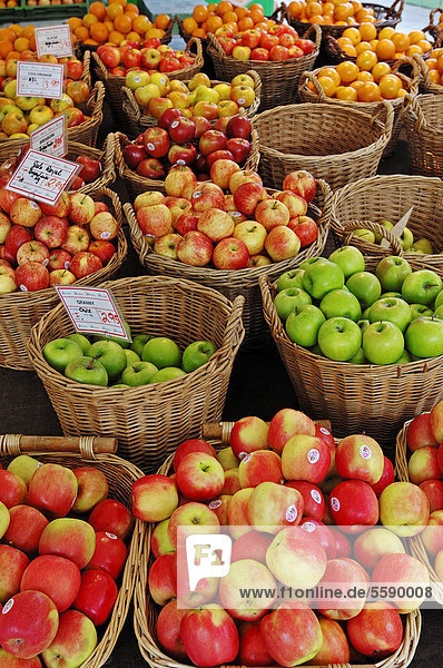 Marktstand mit Obst auf dem Viktualienmarkt  München  Bayern  Deutschland  Europa  ÖffentlicherGrund