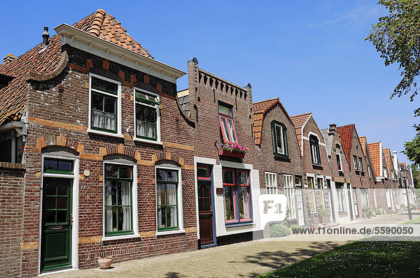 Häuserreihe in Oudeschild  Texel  Niederlande  Europa  ÖffentlicherGrund