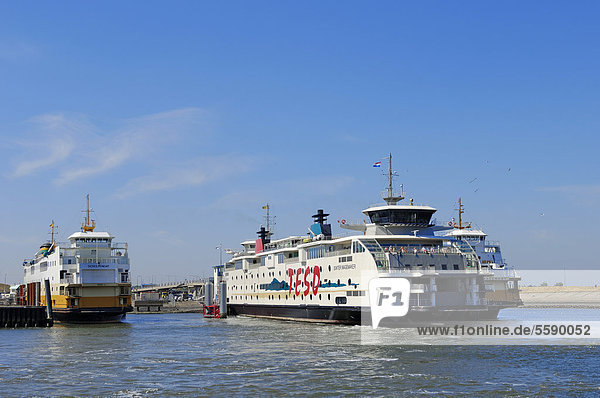 Fährschiffe im Hafen von Het Horntje  Texel  Niederlande  Europa