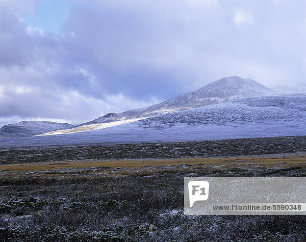 Fjelllandschaft mit erstem Schnee  bei MysusÊter  Mysuseter  Rondane Nationalpark  Norwegen  Skandinavien  Europa