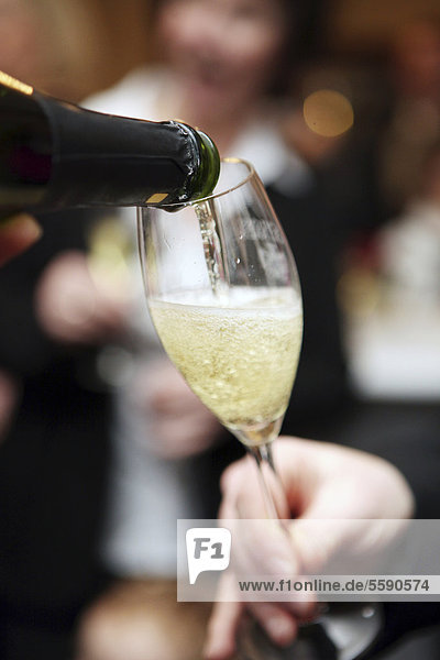 At a celebratory event  champagne is poured into a glass