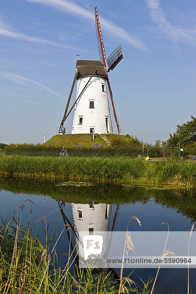 Windmill on the canal between Bruges and Damme  Damse Vaart-Zuid  Damme  Bruges  West Flanders  Flemish Region  Belgium  Europe