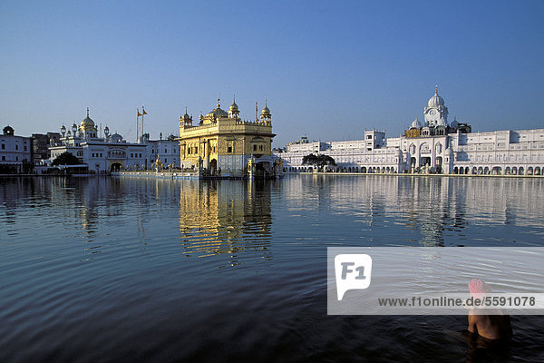 'Sikh man taking a holy bath in Amrit Sagar  ''Lake of Nectar''  Golden Temple  Amritsar  Punjab  North India  India  Asia'