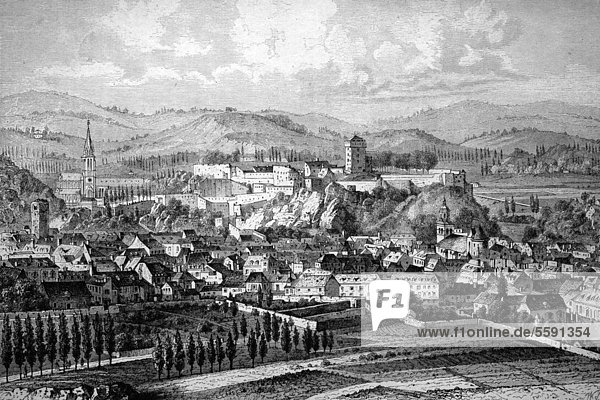 Blick auf die Pilgerstadt Lourdes  Frankreich  historischer Holzstich  1886