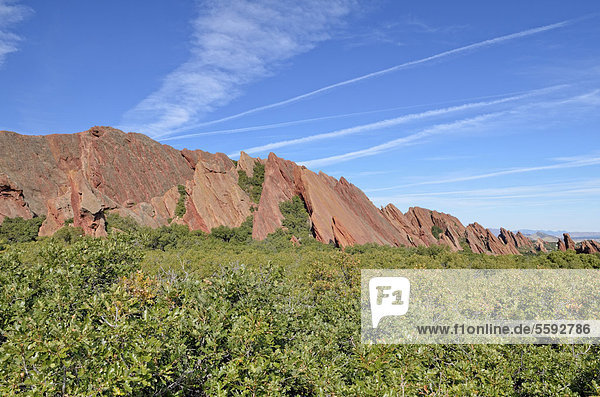 Felsformation aus rotem Sandstein  plattenförmig  Boxborough State Park  Fountain Valley Trail  Denver  Colorado  USA