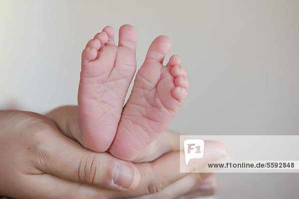 Baby feet held in the hands of an adult