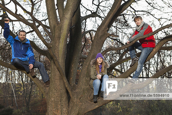 Deutschland  Berlin  Wandlitz  Freunde auf Baum sitzend  Portrait
