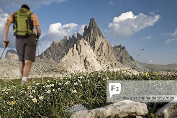 Hiker in front of Tre Cime di Lavaredo  Dolomites  South Tyrol  Italy