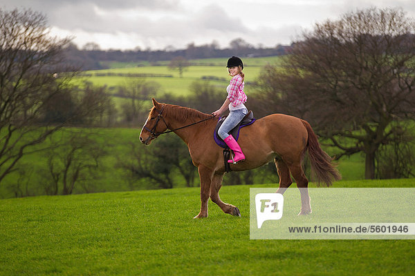 Jugendlicher  Feld  reiten - Pferd  Mädchen