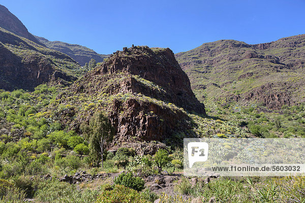Die Berge um Barranco de Guayadeque  Region Taidia  Gran Canaria  Kanarische Inseln  Spanien  Europa