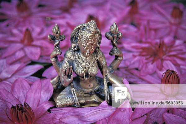 Göttin Lakshmi hinduistische Göttin des Glücks und der Schönheit Lotos-Blüten Thrissur Kerala Südindien Asien