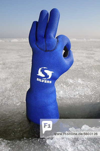 Die Hand eines Tauchers gibt das OK-Zeichen,  Eistauchen im gefrorenen Schwarzen Meer,  ein seltenes Phänomen,  das zuletzt 1977 auftrat,  Odessa,  Ukraine,  Osteuropa,  Europa