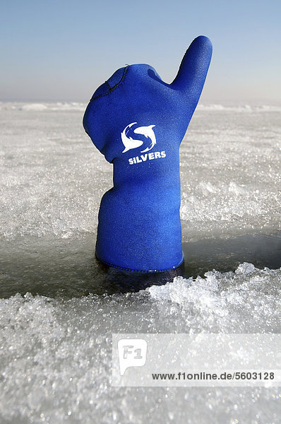 Die Hand eines Tauchers gibt Zeichen zum Auftauchen  Eistauchen im gefrorenen Schwarzen Meer  ein seltenes Phänomen  das zuletzt 1977 auftrat  Odessa  Ukraine  Osteuropa  Europa