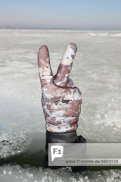 Die Hand eines Tauchers gibt Zeichen für 20 Bar in der Flasche,  Eistauchen im gefrorenen Schwarzen Meer,  ein seltenes Phänomen,  das zuletzt 1977 auftrat,  Odessa,  Ukraine,  Osteuropa,  Europa