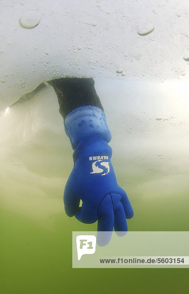 Die Hand eines Tauchers gibt das OK-Zeichen  Eistauchen im gefrorenen Schwarzen Meer  ein seltenes Phänomen  das zuletzt 1977 auftrat  Odessa  Ukraine  Osteuropa  Europa