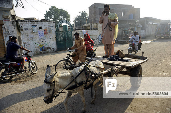 Man riding a donkey cart speaking on a mobile phone  street scene in the Christian quarter of Youhanabad  Lahore  Punjab  Pakistan  Asia