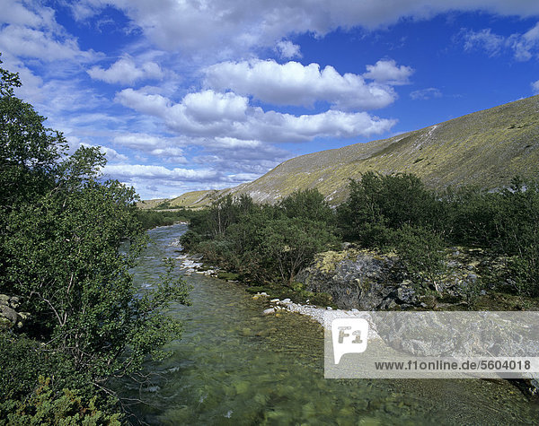 Der Fluss Atna im Tal D¯rÂlen  Doralen  Rondane Nationalpark  Norwegen  Skandinavien  Europa