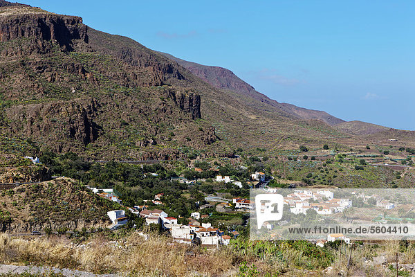 Blick das Dorf Temisas  Region Agüimes  Gran Canaria  Kanarische Inseln  Spanien  Europa