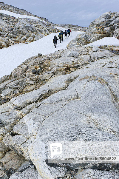 Field of snow and rock structures  hikers at Mittivakkat Glacier  Ammassalik Peninsula  East Greenland  Greenland
