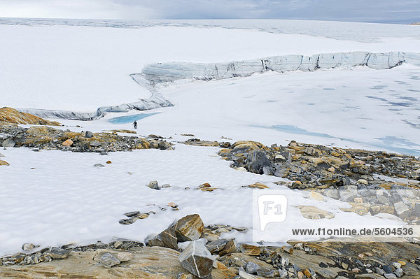 Farbige Gesteins-Strukturen  Mann  Wanderer  am Mittivakkat-Gletscher  Halbinsel Ammassalik  Ostgrönland  Grönland