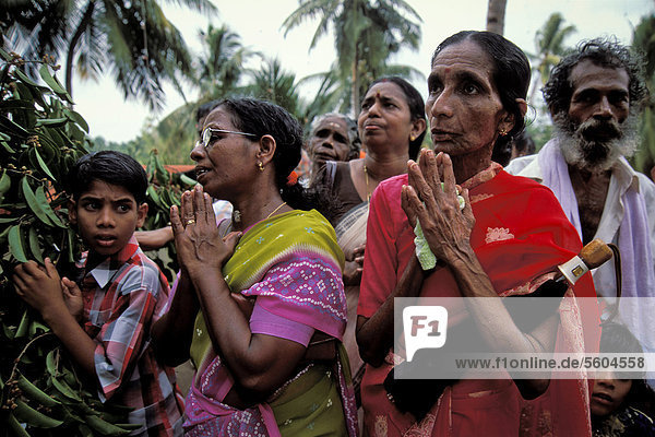 Betende Frau  Pooram-Fest  Aratthapuzha bei Thrissur  Kerala  Südindien  Indien  Asien