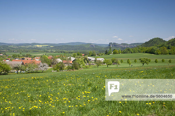 Blick von Papstdorf zu den Schrammsteinen  Elbsandsteingebirge  Sachsen  Deutschland  Europa