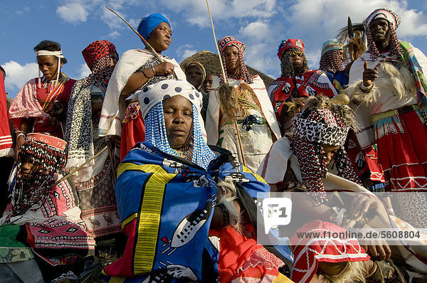 Xhosa  Sangoma-Fest  Dorf  Transkei  Ostkap  Südafrika  Afrika