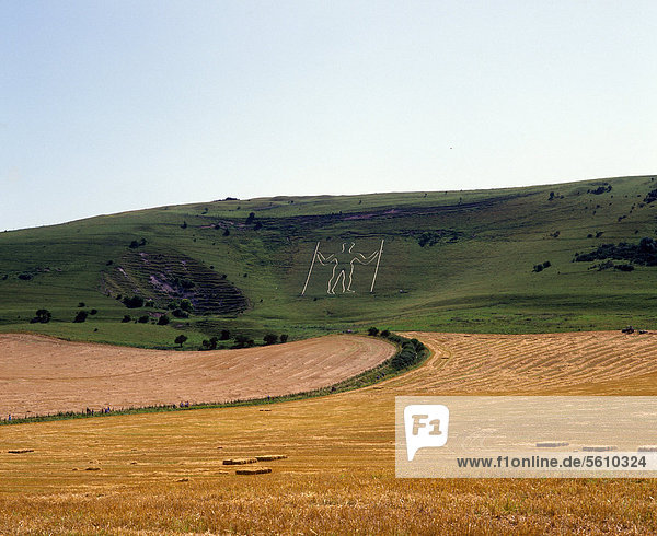 Blick über Felder mit der Hügelfigur Long Man of Wilmington  South Downs  in der Nähe von Eastbourne  England  Großbritannien  Europa