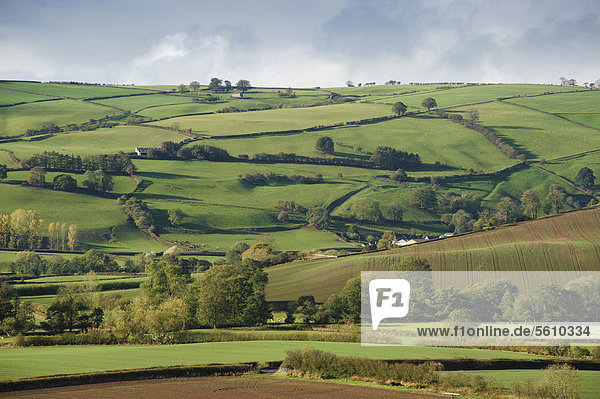 Blick auf ländliches Gebiet mit Ackerland und gemischtem Acker- und Weideland mit Hecken  Clun  Shropshire  England  Großbritannien  Europa